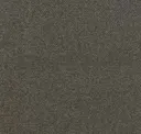 Dark Granite