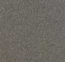 Medium Gray