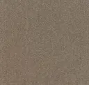 Gray-Taupe