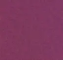 Fuschia