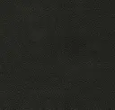 Out Black