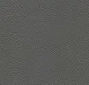 Tabby Gray