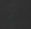 Coal Black