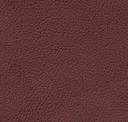 Retinta