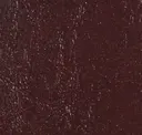Shiraz