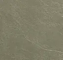 Pumice