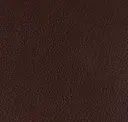 Mesquite