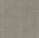 Paper Pulp