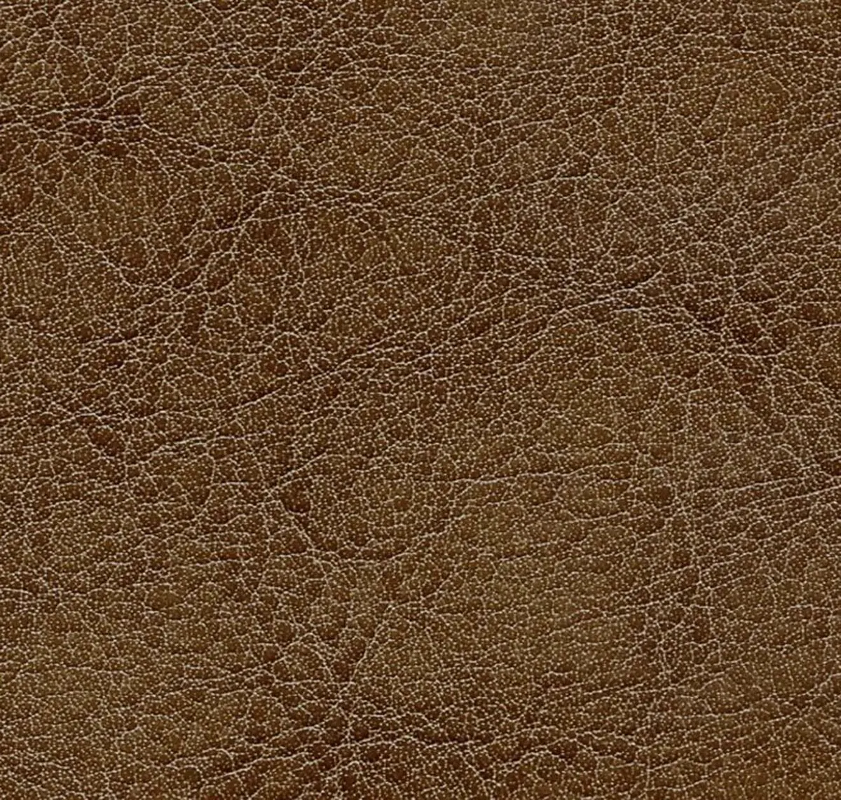 Main