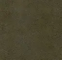 Fashion Khakis