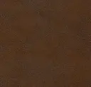 Bronzed Bag
