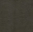 Greyed Brown