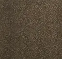 Sparkling Sand