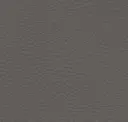 Graphite