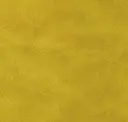 Retro Yellow