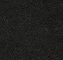 Ebony