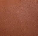 Warp Speed