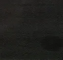 Black Beauty