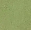 Green Green Grass