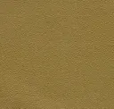 Gold Coin