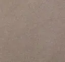 Dan