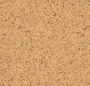 Sahara Beige