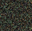 Irish Moss