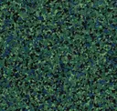 Calypso Green
