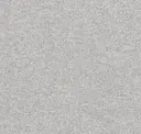Chinchilla