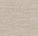Coyote