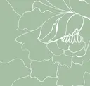 Smoke Green + White
