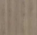 Macadamia