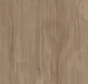 Sand Dune