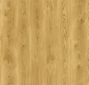 Sequoia