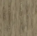 Petrified Shale