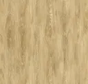Sahara Desert