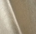 Iced Champagne