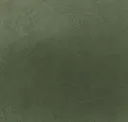 Leafy 007