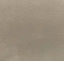 Taupy 010