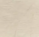 219a1
