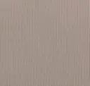 4s Taupe 294