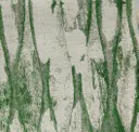 Phosphorus