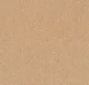 Camel Beige