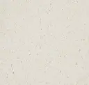 Cool White