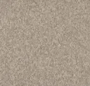 Linseed