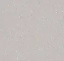 Soft Warm Gray