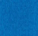 Caribbean Blue