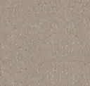 Earthstone Greige
