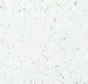 Harlequin White