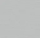 Silver Screen
